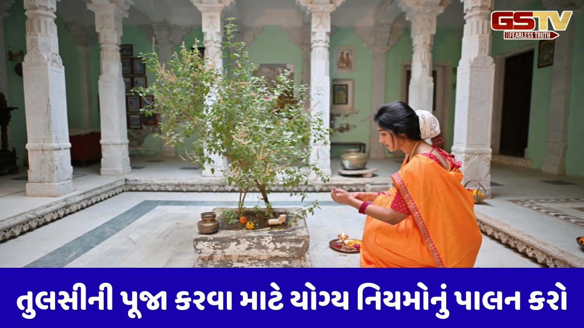 Religion: તુલસીની પૂજા કરતી વખતે ક્યારેય ન કરો આ ભૂલો, નહીં તો કોઈ લાભ નથી મળતા