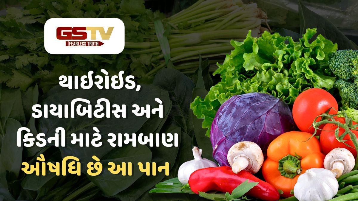 Health Tips : રસોડામાં હાજર આ પાન છે ઔષધીય ગુણોનો ભંડાર, નિરોગી સ્વાસ્થ્ય માટે જરૂર કરો સેવન