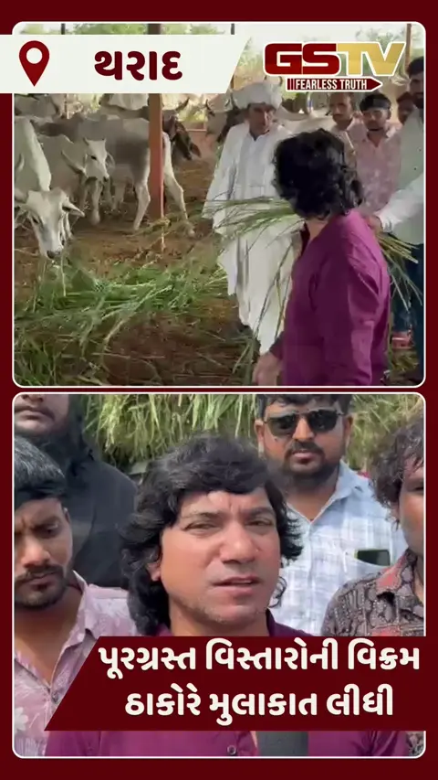 VIDEO: ગુજરાતી ફિલ્મોના અભિનેતા વિક્રમ ઠાકોરે બનાસકાંઠાના પૂરગ્રસ્ત વિસ્તારની ગૌશાળાઓમાં ઘાસચારાની વ્યવસ્થા કરી
