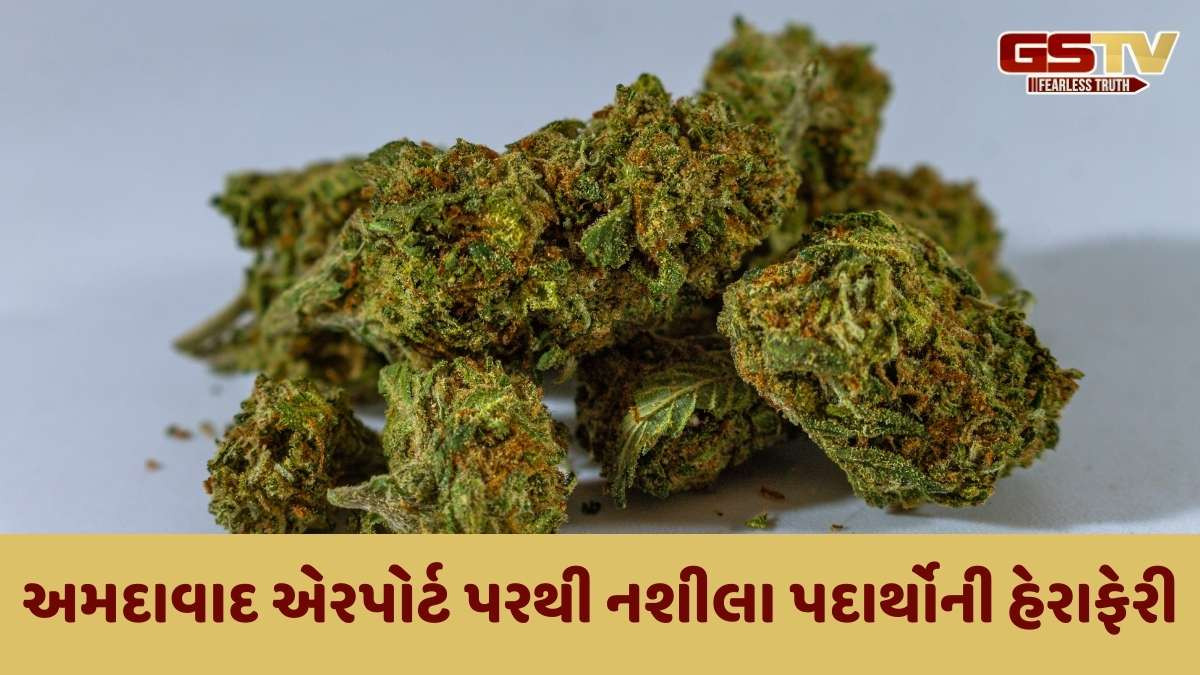 Ahmedabad news : અમદાવાદના એરપોર્ટ પરથી વિયેતનામથી લવાતા 8 કરોડના હાઈબ્રિડ ગાંજા સાથે 2ની ધરપકડ