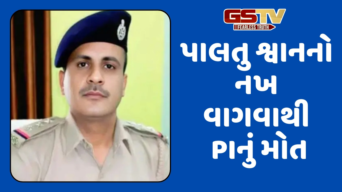 Ahmedabad news: પાલતુ શ્વાનનો નખ વાગવાથી PIનું મોત પોલીસ વર્તુળમાં શોકની લહેર