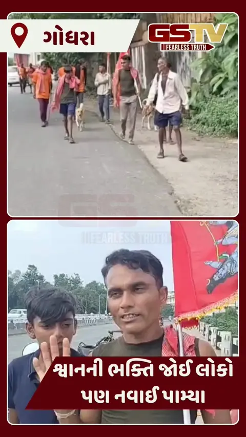 VIDEO: નવરાત્રીમાં અનોખી ભક્તિ : શ્વાન પણ ભક્તોની સાથે જોડાયો પાવાગઢ યાત્રામાં