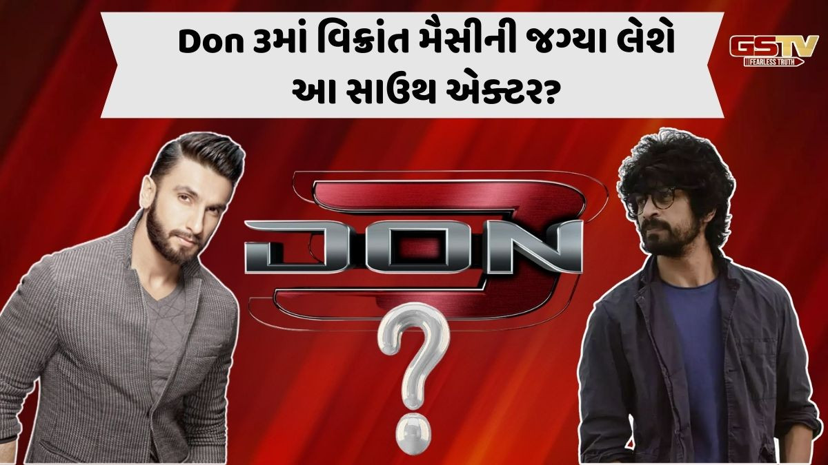 આ સાઉથના કલાકારને મળી Don 3માં વિલનના રોલની ઓફર!