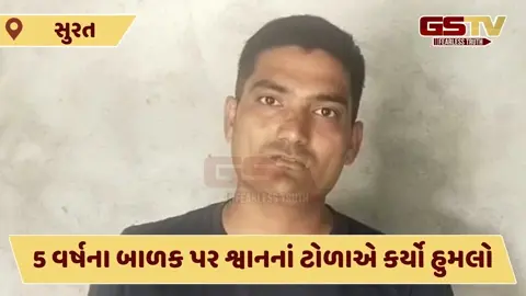 Video: 5 વર્ષના બાળક પર શ્વાનનાં ટોળાએ કર્યો હુમલો, કાનના ભાગે બચકા ભર્યા 