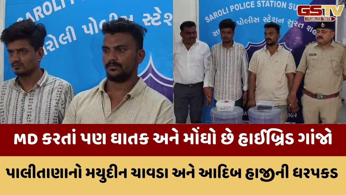 Surat news: બસમાંથી 78 લાખના હાઈબ્રિડ ગાંજા સાથે બે આરોપીને સારોલી પોલીસે ઝડપી પાડયા
