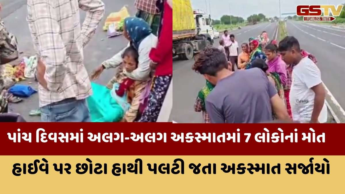 Surendranagar news: વસ્તડી-વડોદ રોડ પર છોટા હાથી પલ્ટી જતા 1 યુવકનું મોત, 3થી વધુ ઈજાગ્રસ્ત
