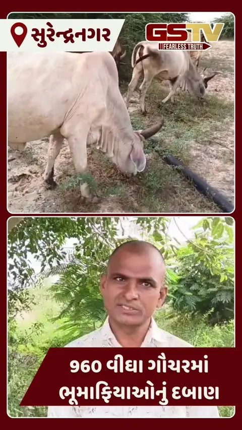 VIDEO: surendranagar માં 960 વીઘા ગૌચર જમીન પર ભૂમાફિયાઓનું દબાણ, તંત્રની લાપરવાહી