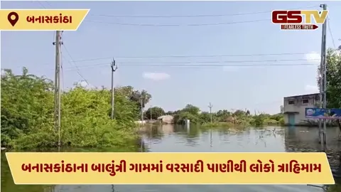 VIDEO: બનાસકાંઠાના સરહદી વિસ્તારમાં 15 દિવસ બાદ પણ ખેતરો, મકાનો, શાળામાં વરસાદી પાણી વચ્ચે લોકો જીવવા મજબૂર