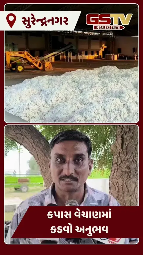 Video: રાજકોટ યાર્ડમાં સુરેન્દ્રનગરના ખેડૂતોને કપાસ વેચાણમાં થયો કડવો અનુભવ, વેપારીઓ મજાક કરતા હોવાનો આક્ષેપ