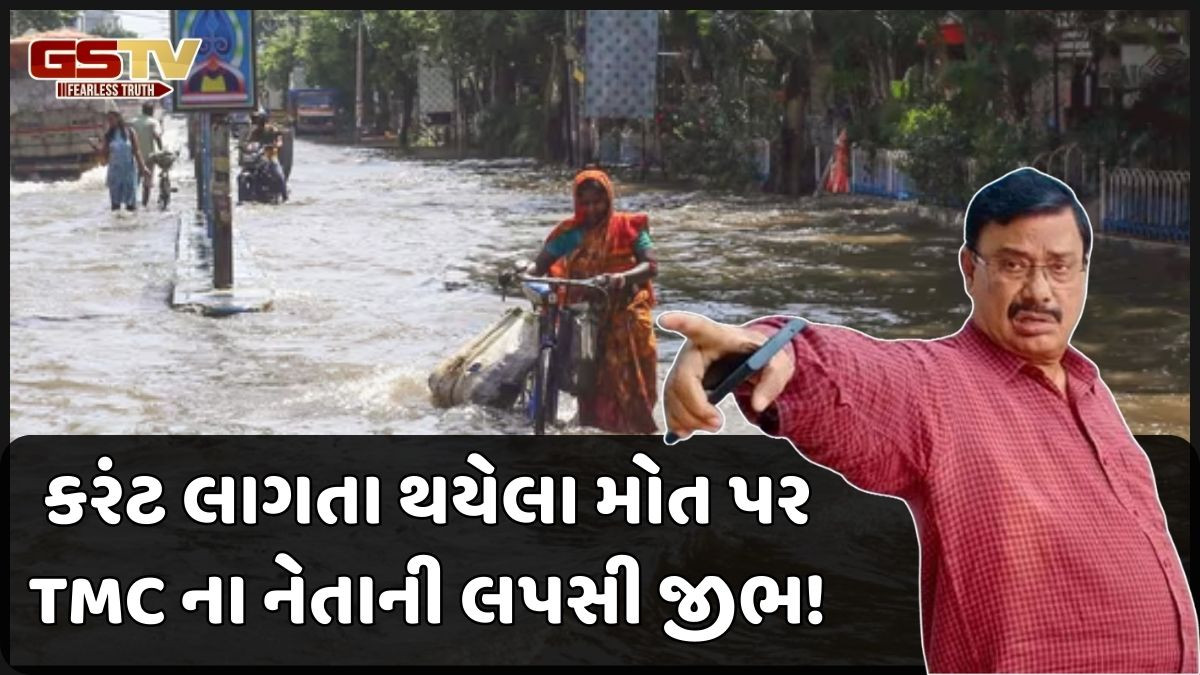 કોલકાતામાં કરંટ લાગતાં થયેલા મોત પર TMC નેતાની વિવાદાસ્પદ ટિપ્પણી: કહ્યું, 