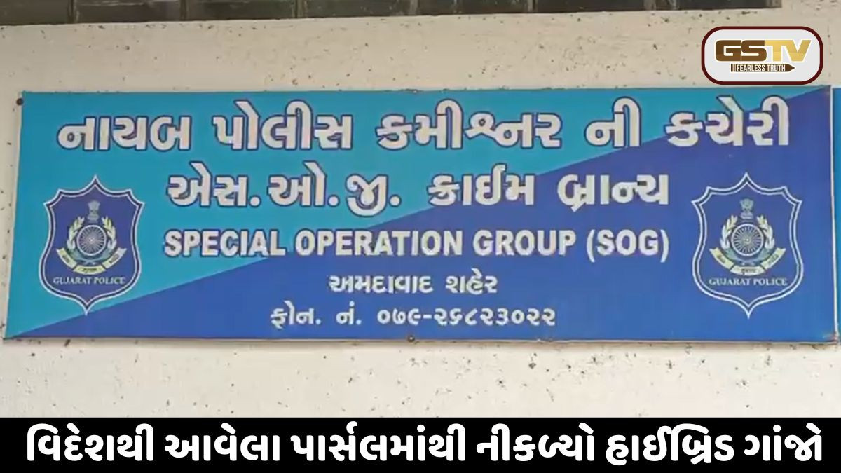 Ahmedabad: વિદેશી પાર્સલની આડમાં ગાંજાની હેરાફેરી ઝડપાઈ, 52 લાખનો માલ જપ્ત