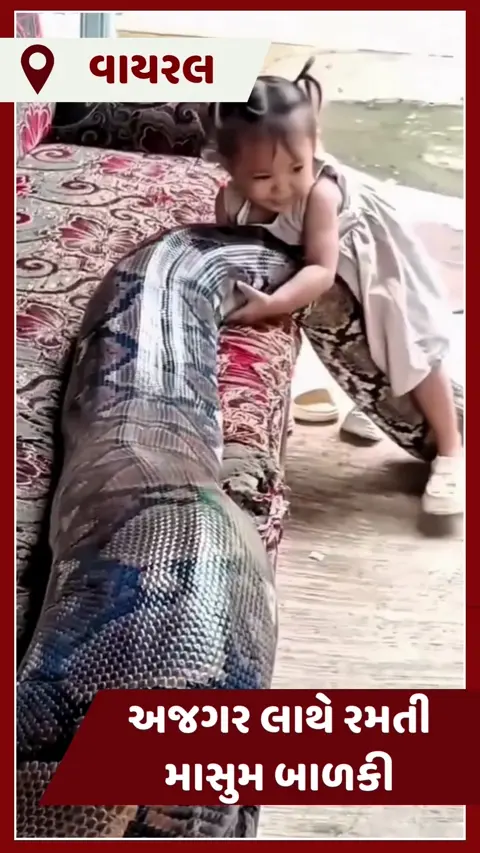 VIDEO : 20 ફૂટ લાંબા અજગર લાથે રમતી માસુમ બાળકી, આ દૃશ્યો જોઈ તમે પણ ડરી જશો
