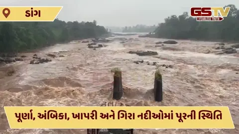 Video: ડાંગ જિલ્લામાં ધોધમાર વરસાદ, નદીઓમાં પૂર, અનેક કોઝવે પાણીમાં ગરકાવ