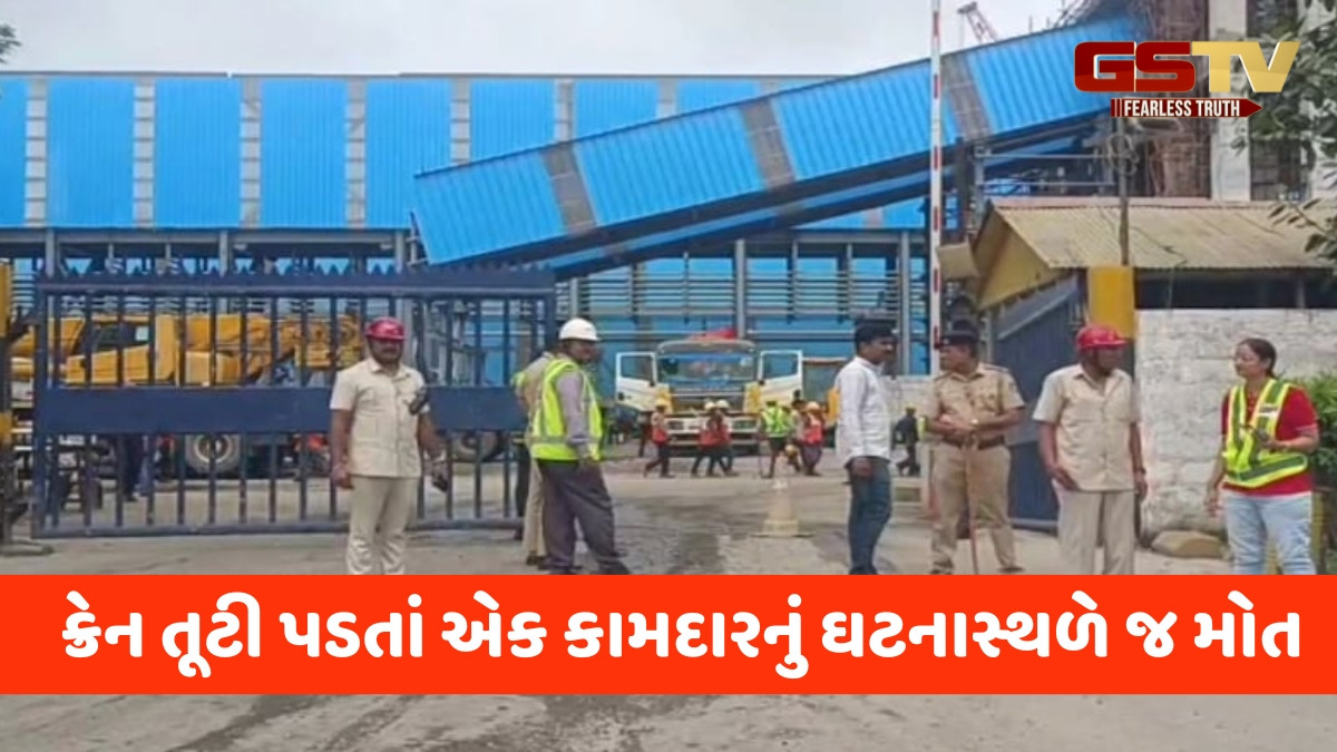 Surat news: હજીરાની એક કંપનીના પ્લાન્ટમાં ક્રેન તૂટી પડી, એકનું મોત, 3 કામદાર ઈજાગ્રસ્ત