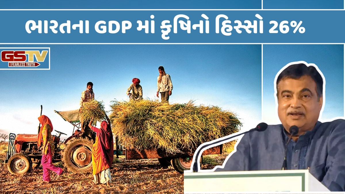 Business Plus: કૃષિ ક્ષેત્રે Nitin Gadkari એ આપી સલાહ, જૈવિક ખાતર અને જંતુનાશકો વિશે કહી આ વાત