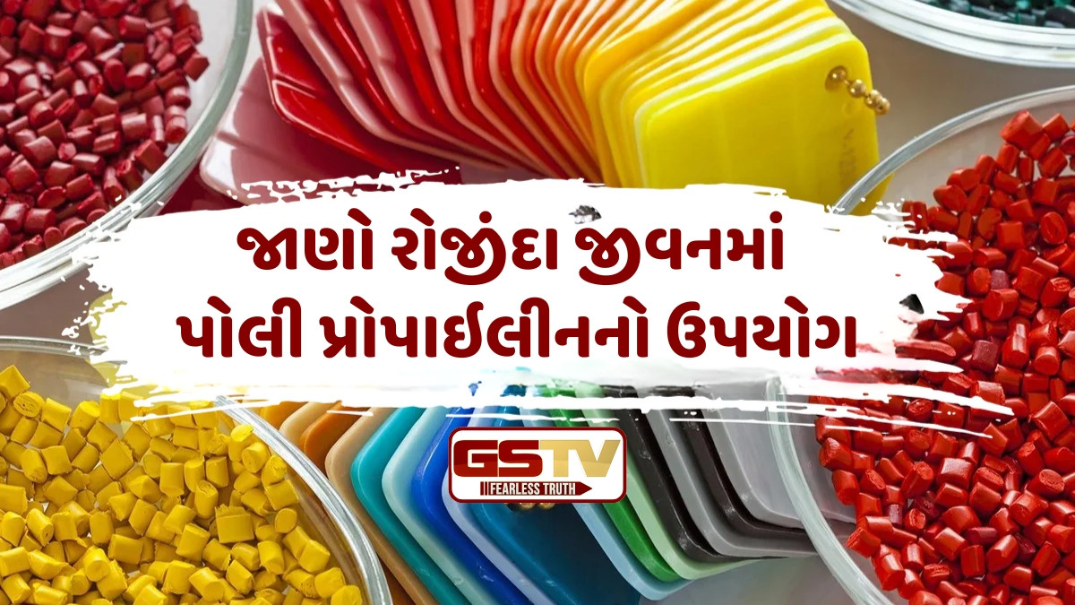 Business Plus: પ્લાસ્ટિક ઉદ્યોગ વિશે વિસ્તૃત જાણકારી