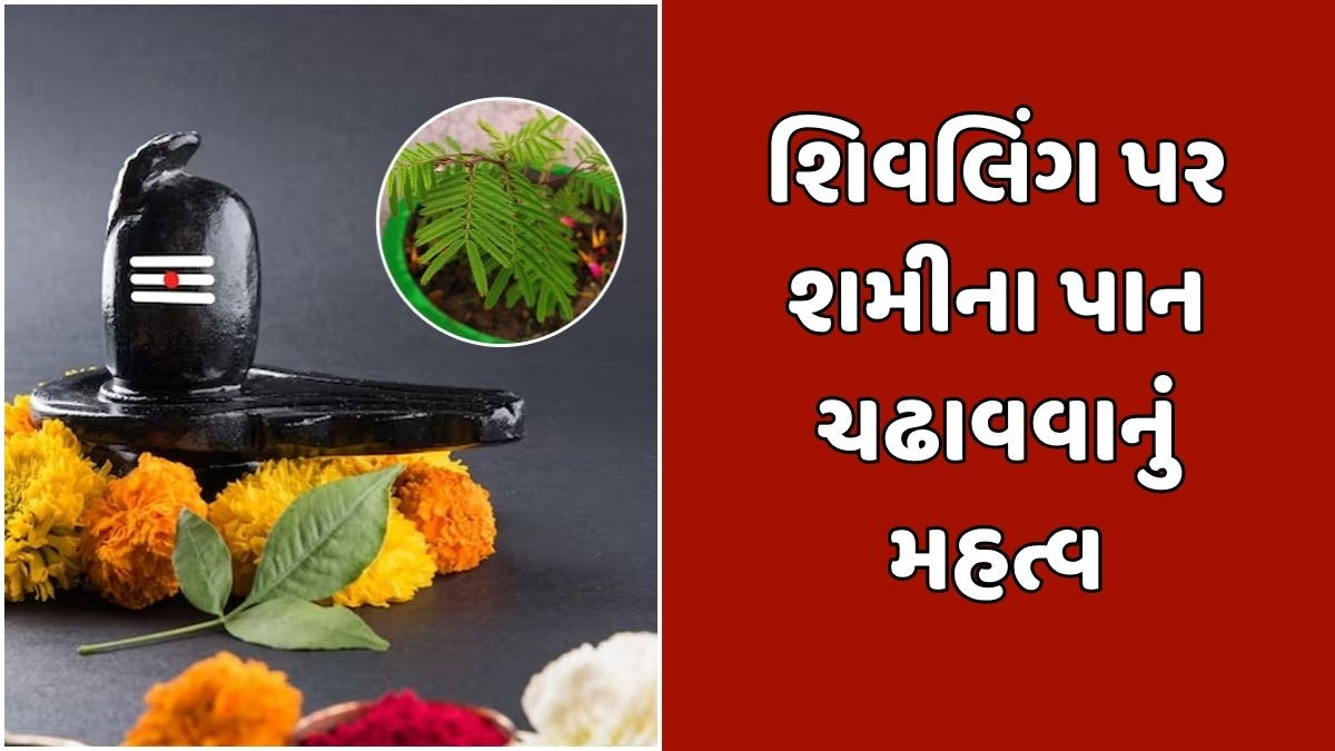 Religion: દશેરા પર શિવલિંગને શમીના પાન ચઢાવવાનું મહત્વ ,જાણો આ પાછળની માન્યતાઓ