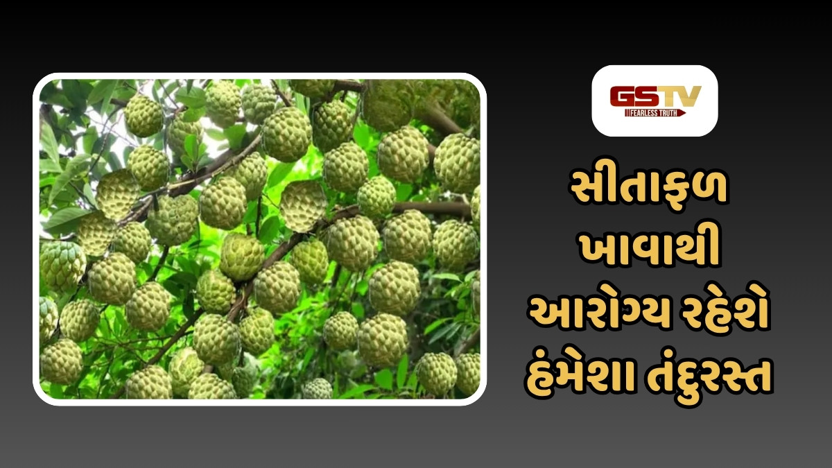 Health Tips: સીતાફળ ખાવાના 5 મોટ ફાયદા, પેટ માટે વરદાન અને સ્વાસ્થ્ય માટે અમૃત સમાન