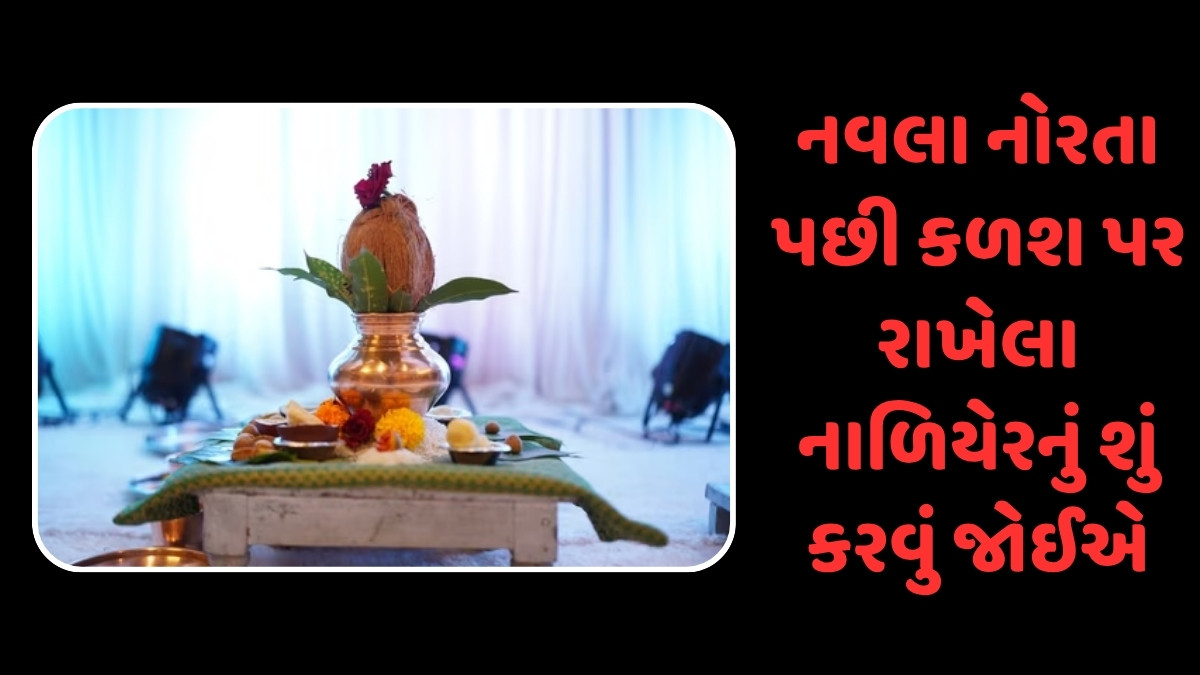 Religion : નવરાત્રી પછી કળશમાં રાખેલા નારિયેળનું શું કરવું જોઈએ? અહીં જાણો સાચા નિયમો
