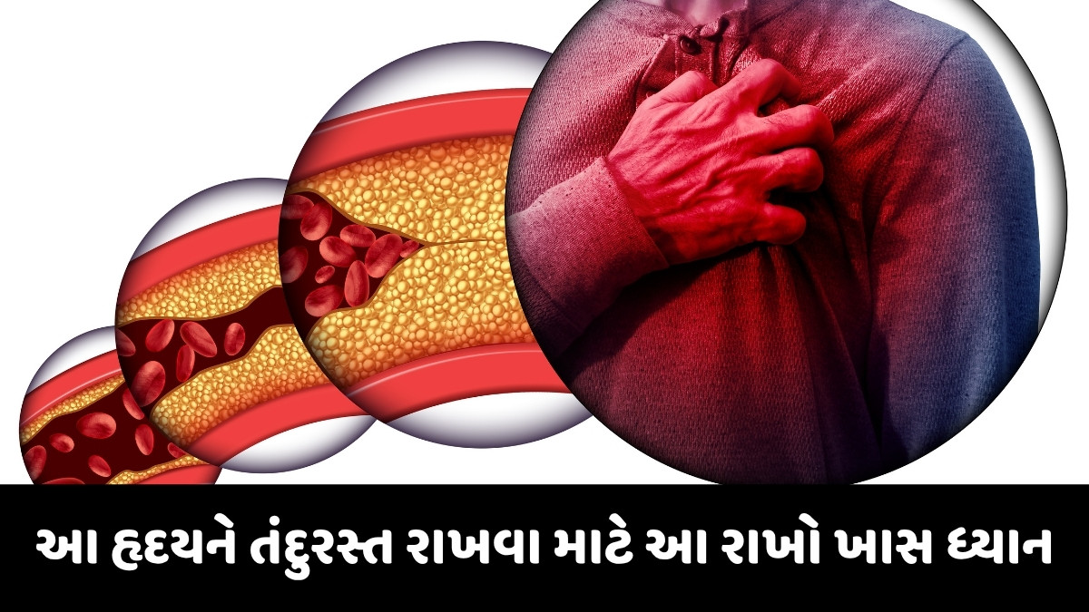 Health Tips: હૃદય રોગના મુખ્ય કારણ છે આ વસ્તુઓ, જાણો બચવાના ખાસ ઉપાયો