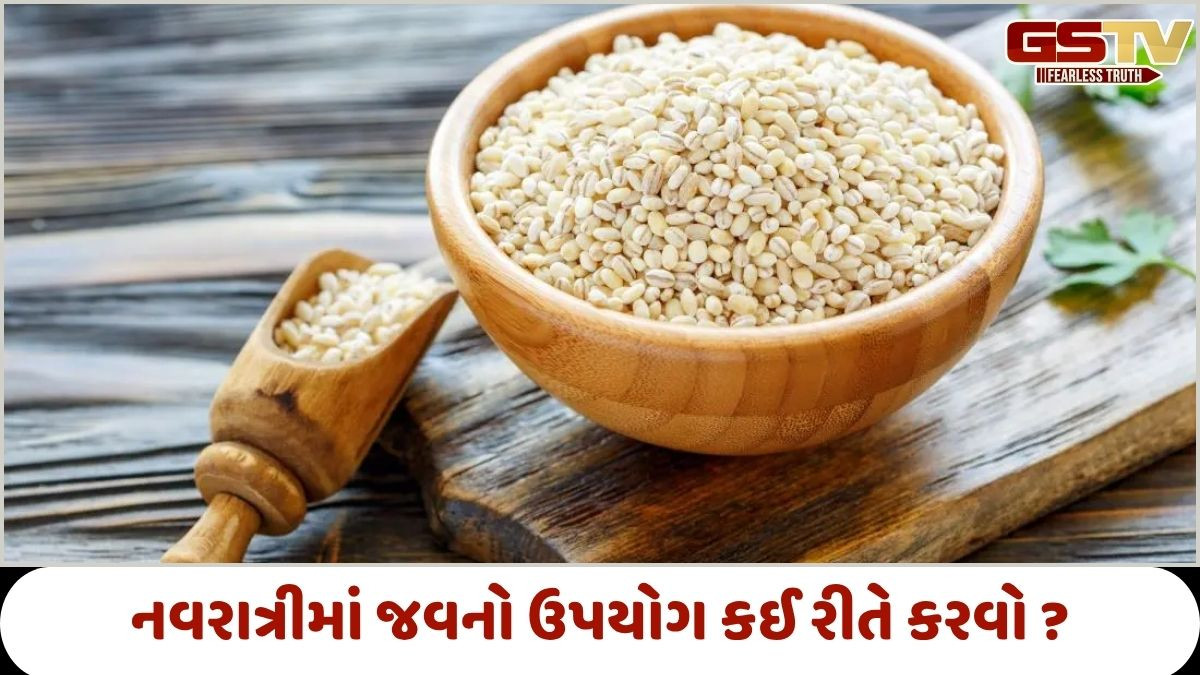Religion: નવરાત્રિમાં પૂજા પછી વાવેલા જવનો ઉપયોગ કેવી રીતે કરવો?,જાણો ધાર્મિક માન્યતાઓ શું કહે છે