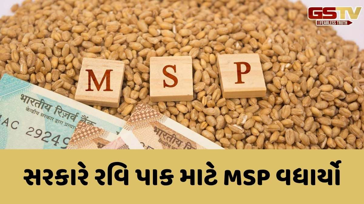 Diwali 2025: ખેડૂતોને દિવાળી ભેટ! સરકારે રવિ પાક માટે MSP વધાર્યો, ઘઉંના ભાવમાં 160 પ્રતિ ક્વિન્ટલનો વધારો