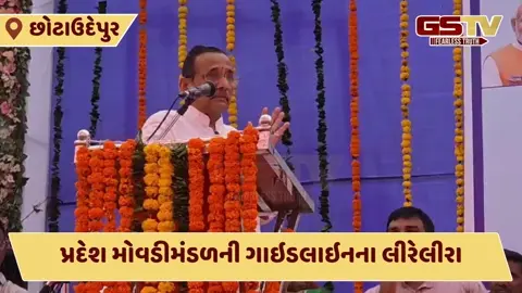 Video: પ્રદેશ મોવડીમંડળ પહેલાં જ MLAએ જાહેર મંચ પર કરી ઉમેદવારના નામની જાહેરાત, Chhota Udaipur ભાજપમાં હડકંપ 