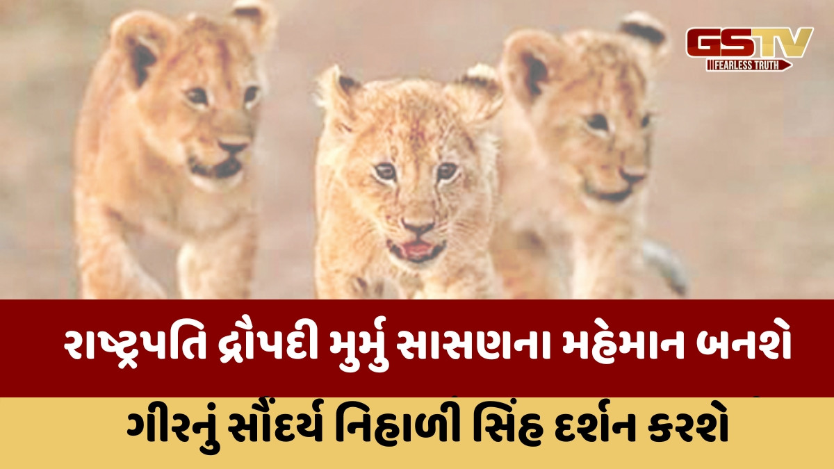 રાષ્ટ્રપતિ દ્રૌપદી મુર્મુ 2 દિવસ સાસણ ગીરનાં બનશે મહેમાન, 7 દિવસ વહેલી જંગલ સફારી શરૂ કરાશે