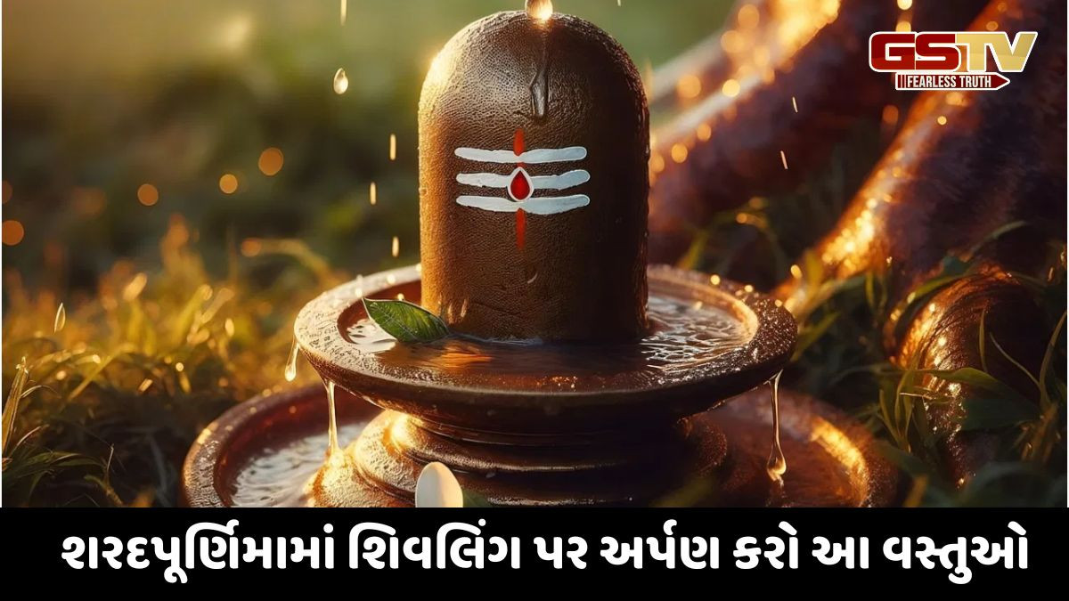 Religion: શરદ પૂર્ણિમાના દિવસે શિવલિંગ પર આ વસ્તુઓ અર્પણ કરો, તમારી સમસ્યા દૂર થશે