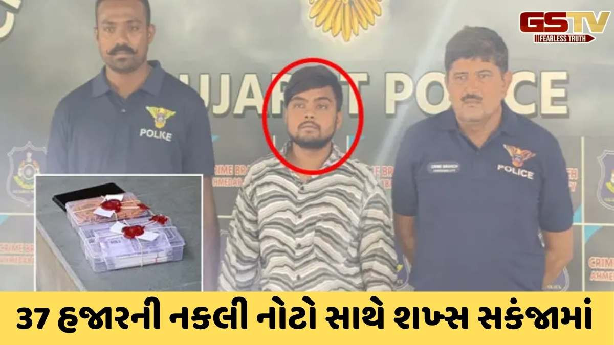 Ahmedabad news : નકલી ચલણી નોટો સાથે એક યુવકની ધરપકડ, કુરિયરથી નાણાં મંગાવ્યા હતા