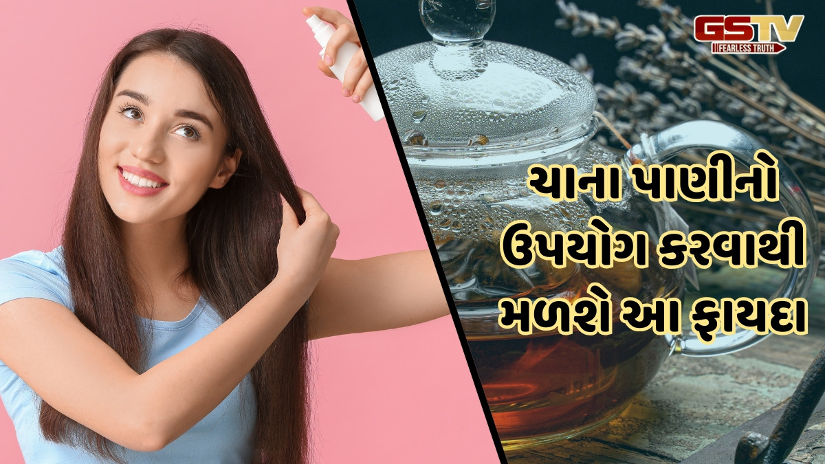 Hair Care Tips / વાળને મૂળમાંથી મજબૂત બનાવશે ચાનું પાણી, જાણો તેનો ઉપયોગ કરવાની રીત
