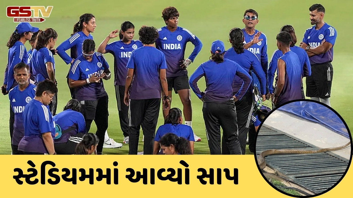 IND-W vs PAK-W / સ્ટેડિયમમાં પ્રેક્ટિસ કરી રહી હતી ટીમ ઈન્ડિયા, અચાનક આવી ગયો સાપ અને પછી...