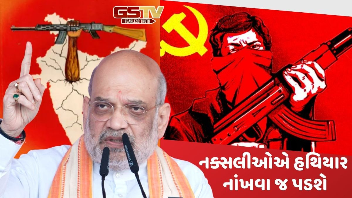 '31 માર્ચ પહેલા હથિયાર નાખી દો', અમિત શાહે નક્સલીઓને આપી અંતિમ ચેતવણી