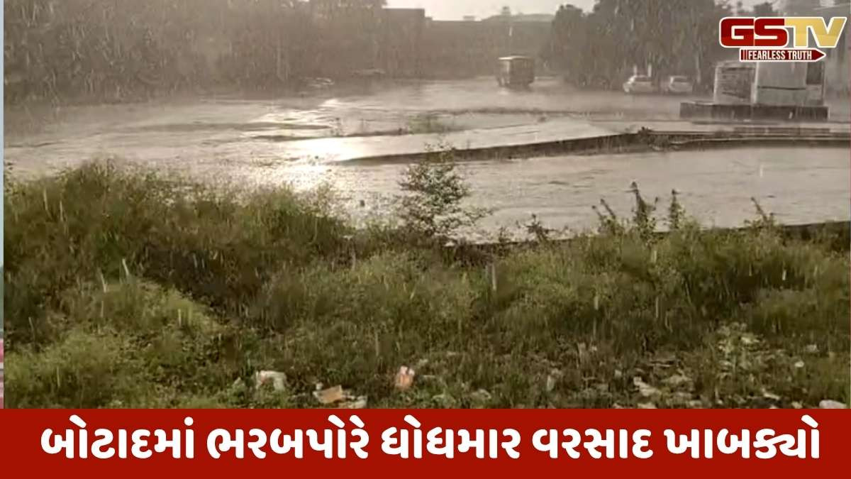 Cyclone Shakti: Botadમાં બપોર બાદ ધોધમાર વરસાદ, કપાસના પાકને નુકસાન થવાની ભીતિ