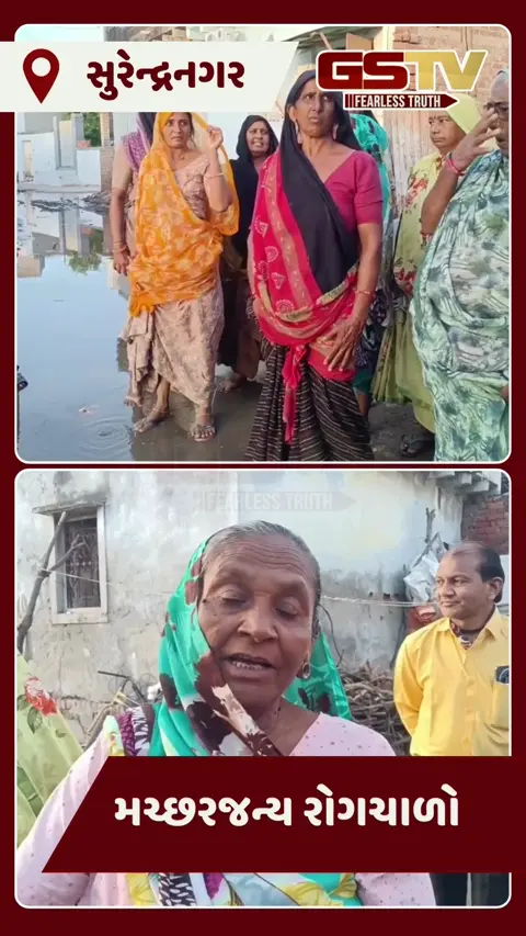 Video: Surendranagar માં ઠેરઠેર પાણી ભરાવાના કારણે મચ્છરજન્ય રોગચાળાનો પ્રકોપ, નગરપાલિકાની ઘોર બેદરકારી