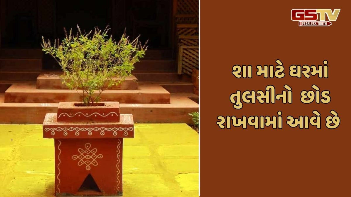 Religion: કાર્તિક મહિનામાં તુલસી પાસે આ વસ્તુઓ રાખવી જોઈએ,જેથી ઘરમાં સમૃદ્ધિ અને આશીર્વાદ આવે!