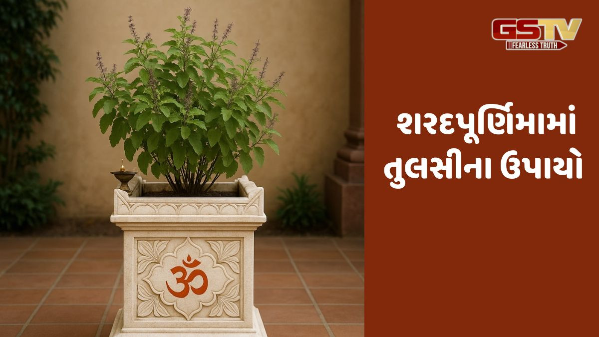 Religion: શરદપૂર્ણિમાએ તુલસીના ઉપાયો:,આર્થિક સમૃદ્ધિ માટે આ પૂજા ખાસ કરો