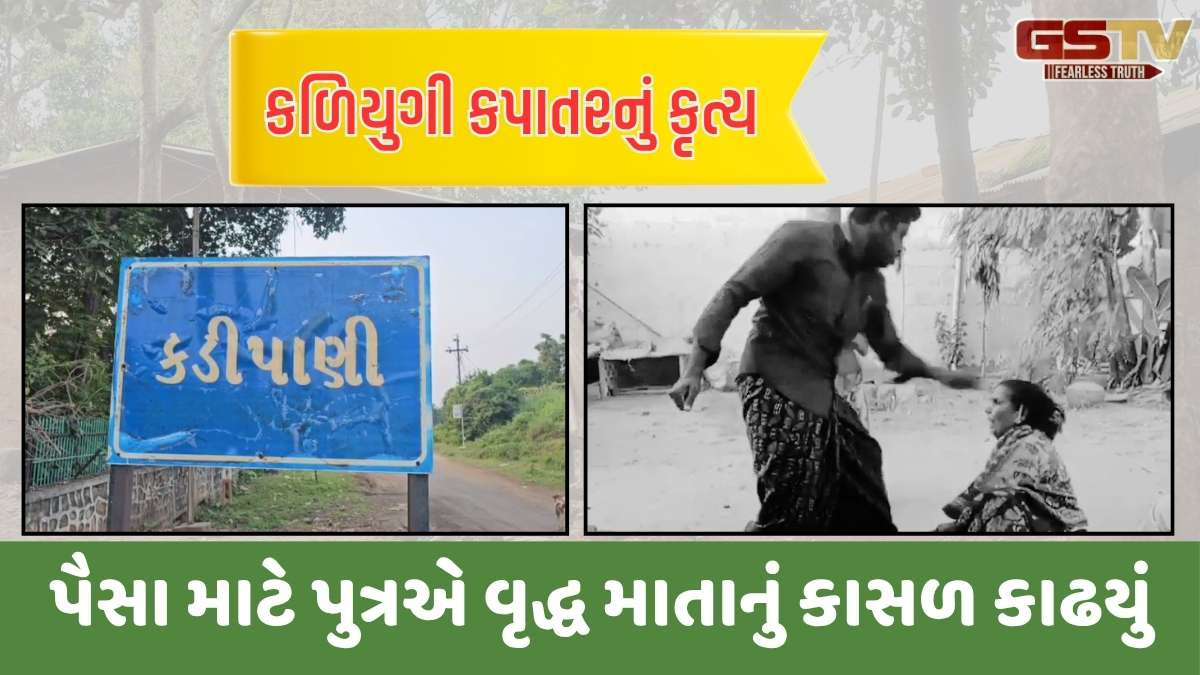 Chhotaudepur news: આંબાડુંગર ગામની વૃદ્ધ માતાની પેન્શન માટે હત્યા કરી કળિયુગી પુત્ર પલાયન, જાણો આખી કરુણ ઘટના  
