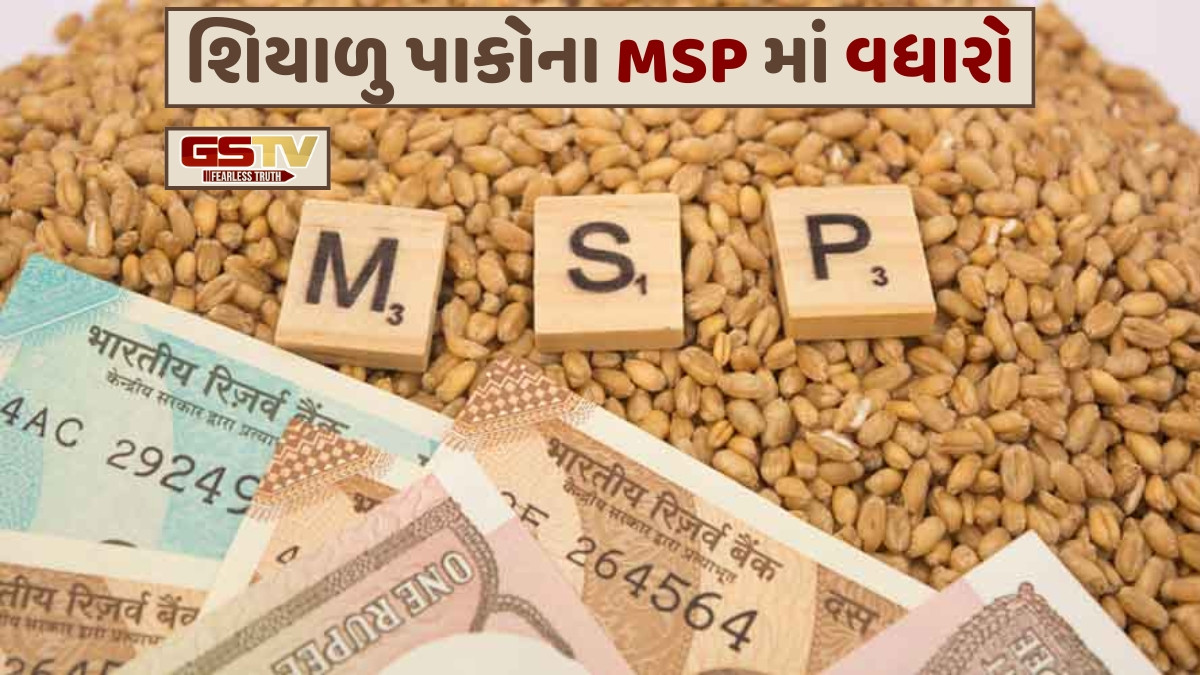 Business Plus: શિયાળુ પાકોના લઘુત્તમ ટેકાના ભાવમાં કરવામાં આવશે વધારો