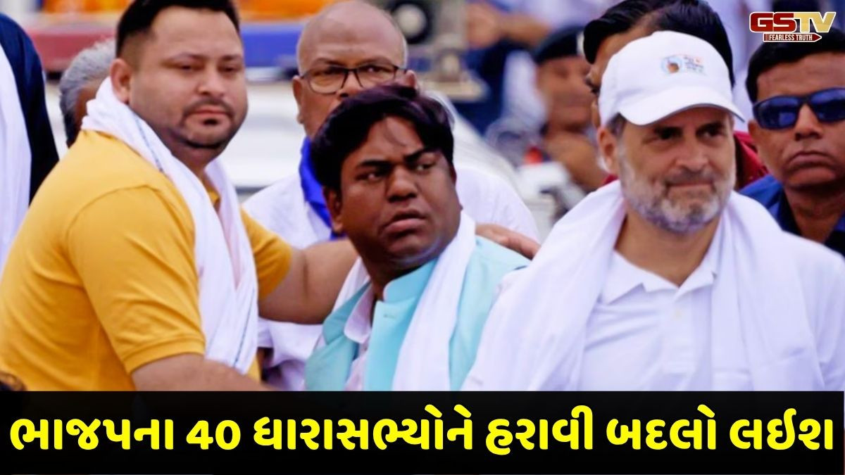 'હું ડેપ્યુટી CM બનીશ', બિહાર વિધાનસભા ચૂંટણી જાહેર થતા જ આ નેતાએ કર્યો મોટો દાવો