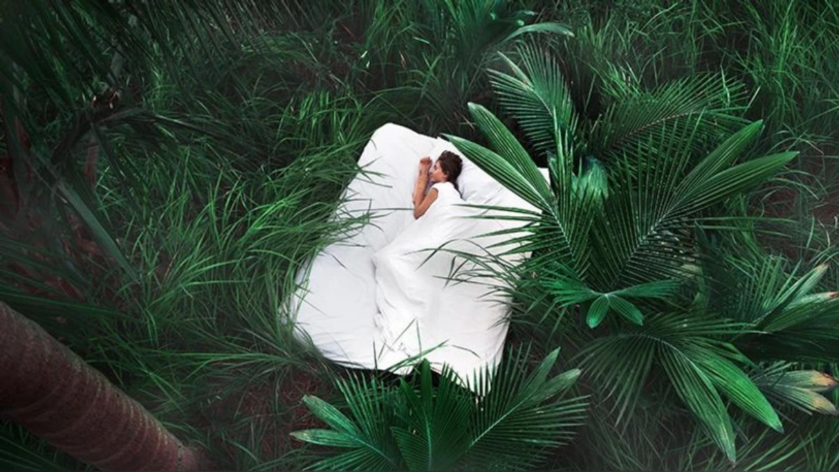 Sleep Tourism Trend: સ્લીપ ટુરિઝમ શું છે? જાણો શા માટે યુવા  પેઢી અપનાવી રહી છે આ ટ્રેન્ડ 