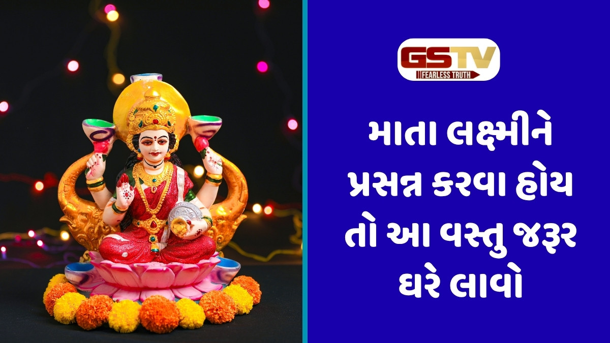 Vastu Tips : દિવાળી પહેલા આ વસ્તુઓ ઘરે અવશ્ય લાવો, નકારાત્મક શક્તિનો તરત થશે નાશ