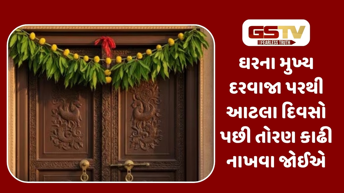 Vastu Tips : દિવાળીમાં ઘરના મુખ્ય દરવાજા પર બાંધેલા તોરણો ક્યારે હટાવવા? સુકા પાન આપે છે આ અશુભ સંકેત