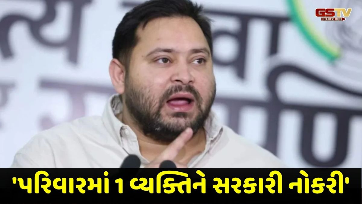 VIDEO: 'દરેક પરિવારમાં એક વ્યક્તિને સરકારી નોકરી', બિહાર ચૂંટણી પહેલા તેજસ્વીનું મોટું એલાન