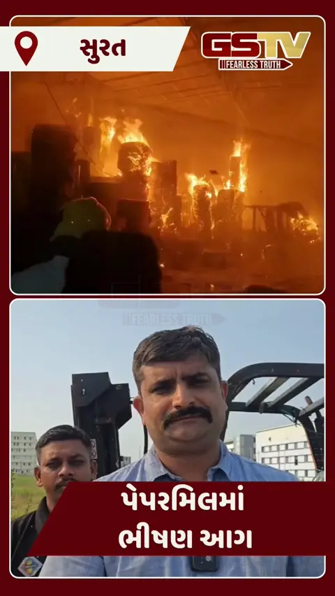 Video: Surat જિલ્લામાં પેપરમિલમાં ભીષણ આગ, લાખોનું નુકસાન