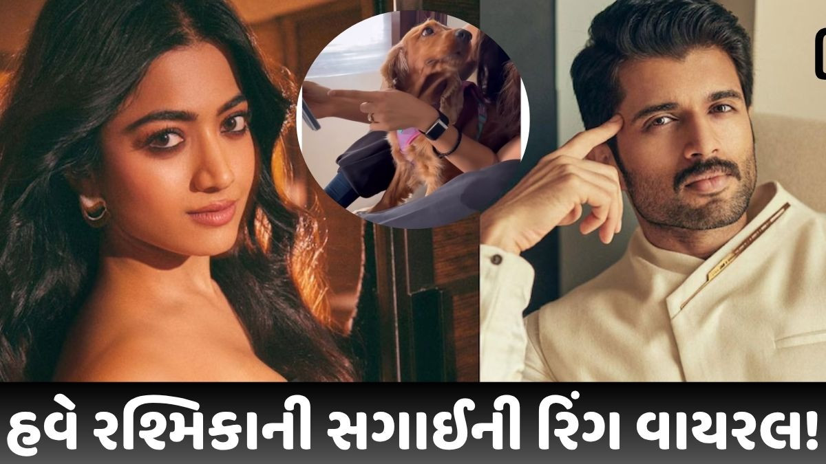 હવે રશ્મિકાની આ નવી રિંગે ખેચ્યું સૌનું ધ્યાન, ઈન્સ્ટાગ્રામ પર શેર કરેલા વીડિયો પર ચાહકોની કમેન્ટ
