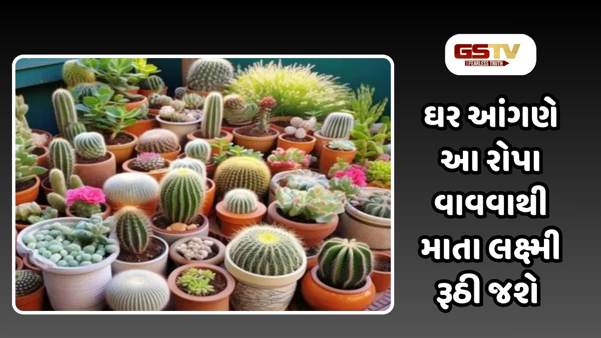 Vastu Tips : આ 5 છોડ આંગણે ભૂલથી પણ ન રોપવો, નહીં તો માતા લક્ષ્મી ઘરમાં નહીં કરે નિવાસ