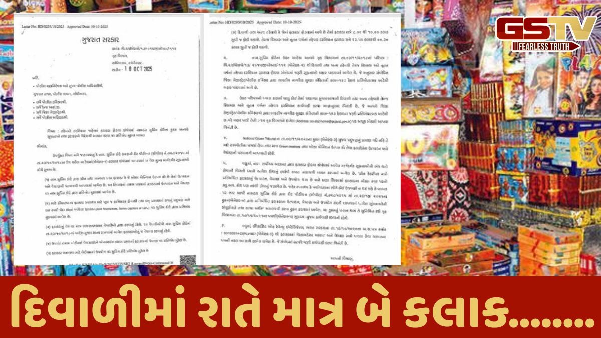 દિવાળીમાં ફટાકડા ફોડો તે પહેલા આ વાંચી લેજો, ગુજરાત સરકારની ગાઇડલાઇન જાહેર