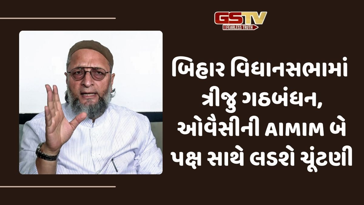 Bihar Election: ઓવૈસીની પાર્ટીએ 2 પક્ષ સાથે કર્યું ગઠબંધન, 100 બેઠક પર ચૂંટણી લડવાની તૈયારી