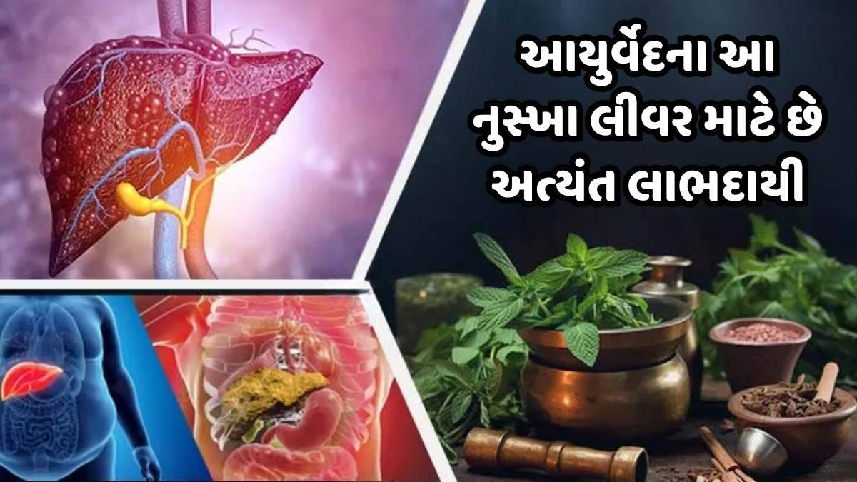 Health Tips: લીવરને અંદરથી ખોખરૂ કરે છે ફેટી લીવર, આયુર્વેદના આ નુસ્ખા છે અત્યંત અસરકારક